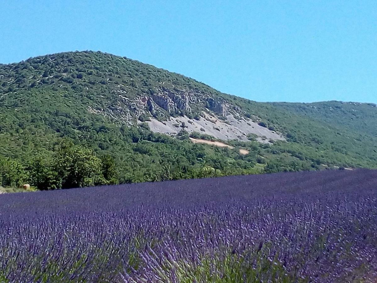 Gite La Fleur D Olivier Nyons Exterior foto